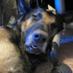 Meet your Posher, Mandy